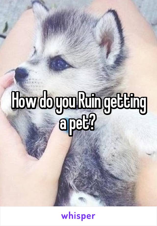 How do you Ruin getting a pet? 
