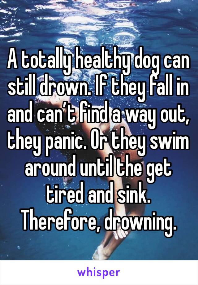 A totally healthy dog can still drown. If they fall in and can’t find a way out, they panic. Or they swim around until the get tired and sink. Therefore, drowning.