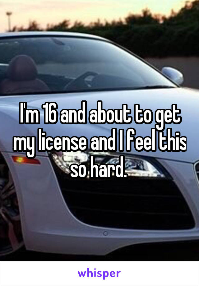 I'm 16 and about to get my license and I feel this so hard. 