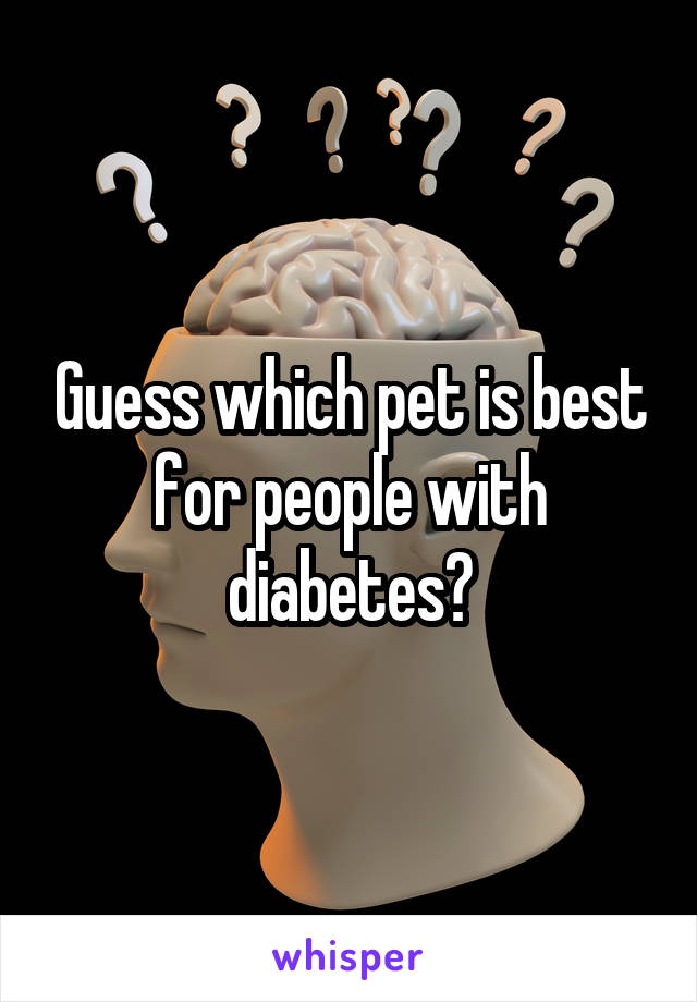Guess which pet is best for people with diabetes?