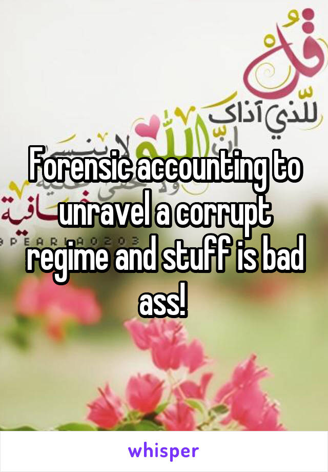 Forensic accounting to unravel a corrupt regime and stuff is bad ass! 