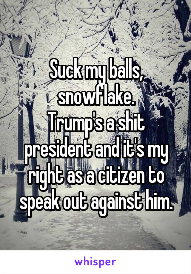 Suck my balls, snowflake.
Trump's a shit president and it's my right as a citizen to speak out against him.