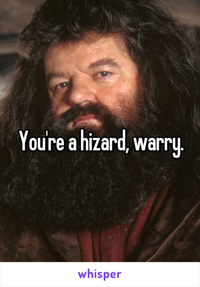 You're a hizard, warry.