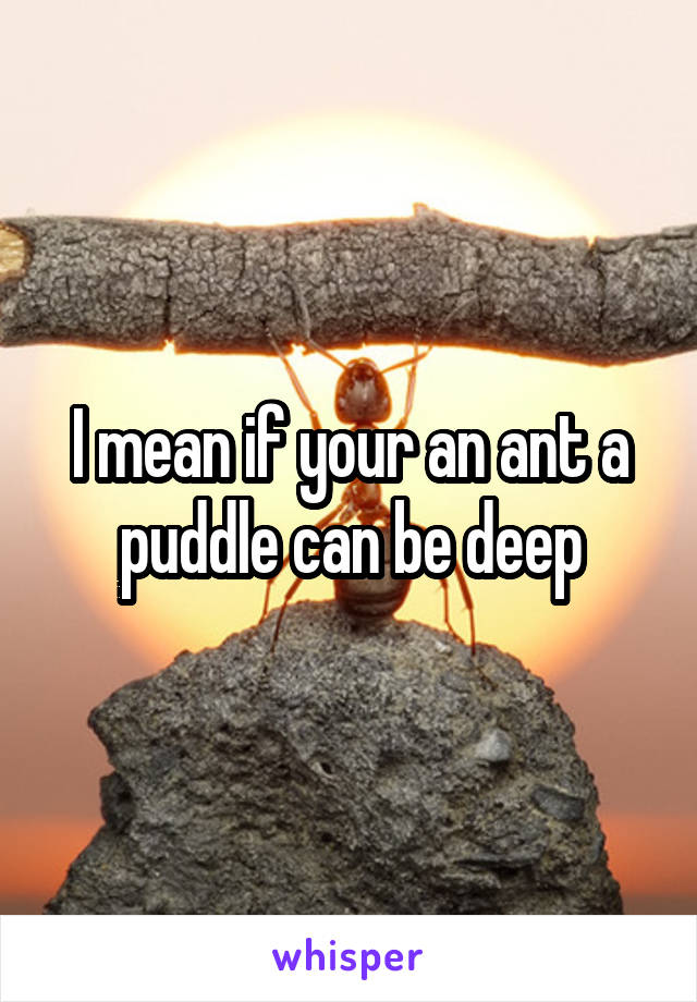 I mean if your an ant a puddle can be deep