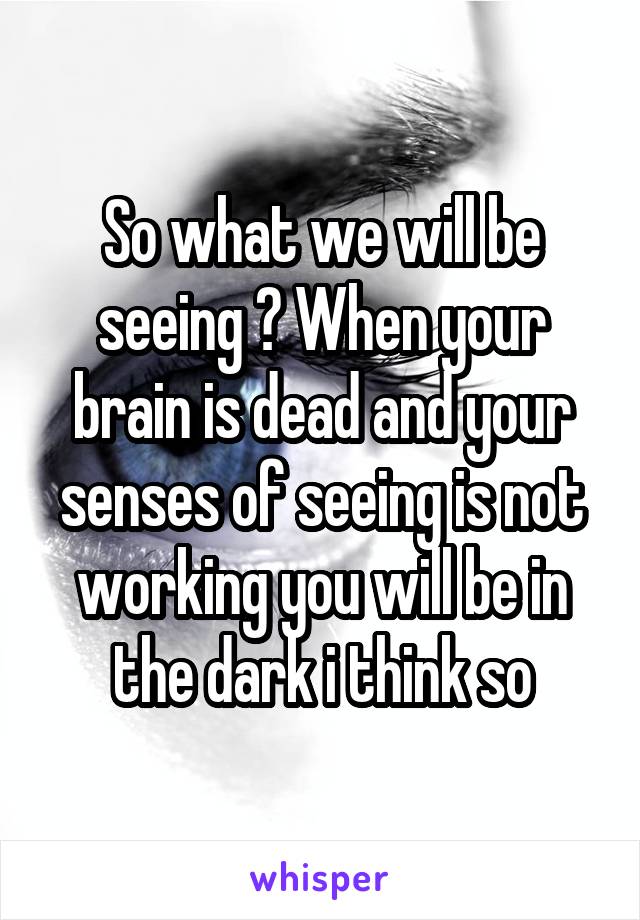 So what we will be seeing ? When your brain is dead and your senses of seeing is not working you will be in the dark i think so