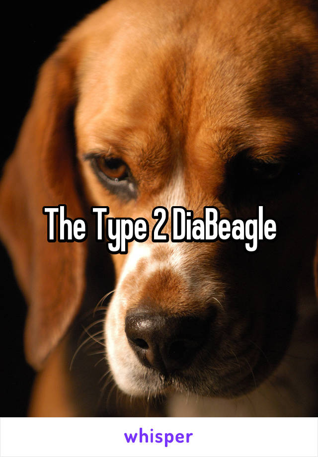 The Type 2 DiaBeagle