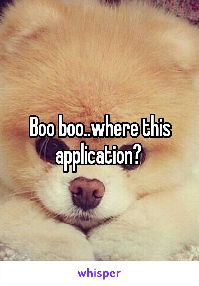 Boo boo..where this application? 