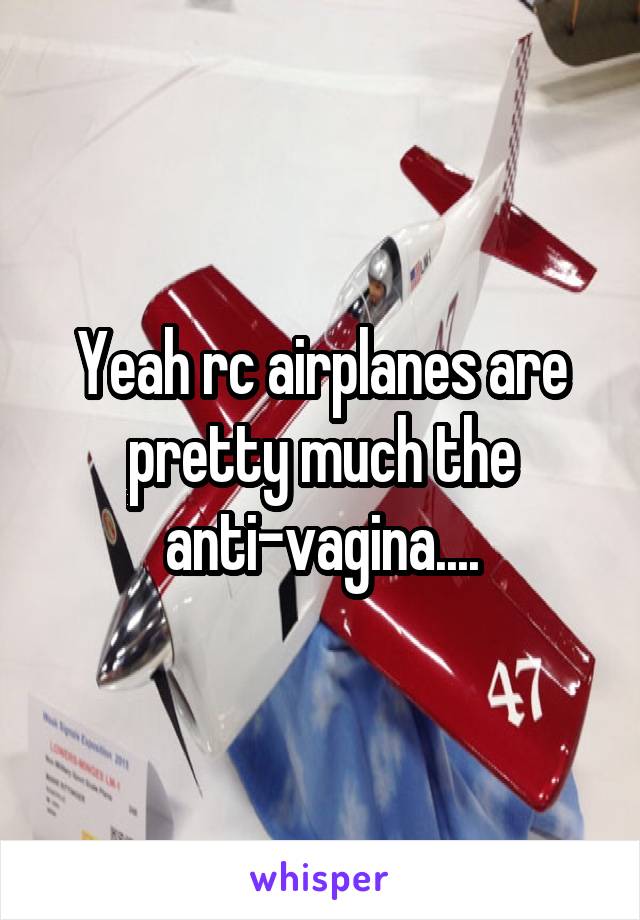 Yeah rc airplanes are pretty much the anti-vagina....