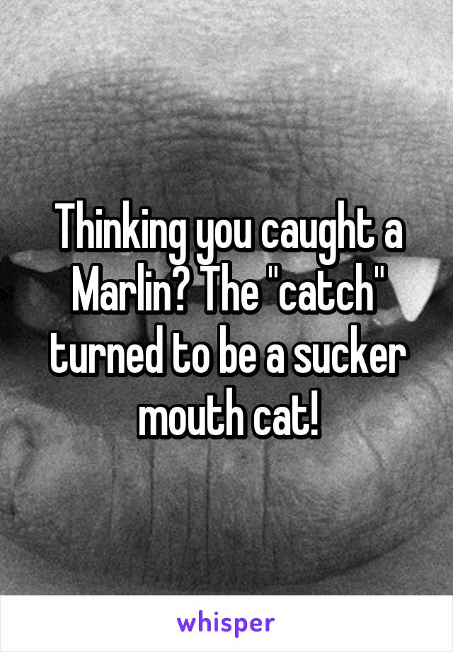 Thinking you caught a Marlin? The "catch" turned to be a sucker mouth cat!