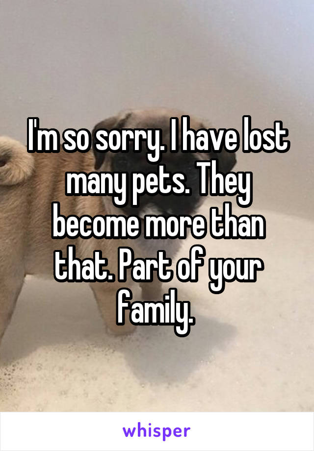 I'm so sorry. I have lost many pets. They become more than that. Part of your family. 