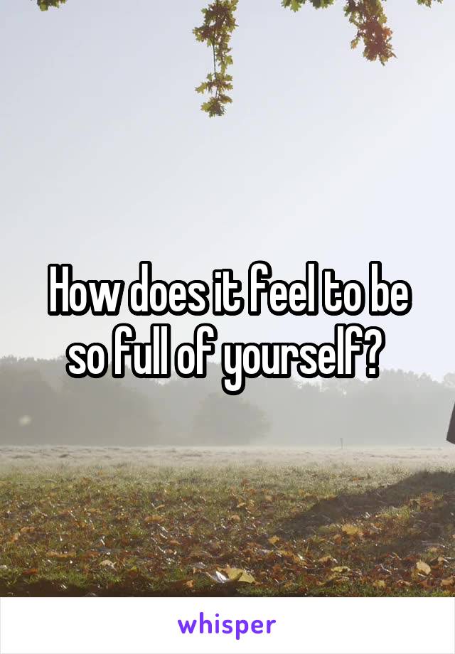 How does it feel to be so full of yourself? 