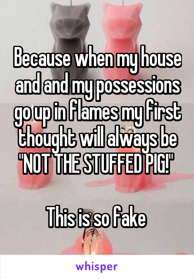 Because when my house and and my possessions go up in flames my first thought will always be "NOT THE STUFFED PIG!" 

This is so fake 