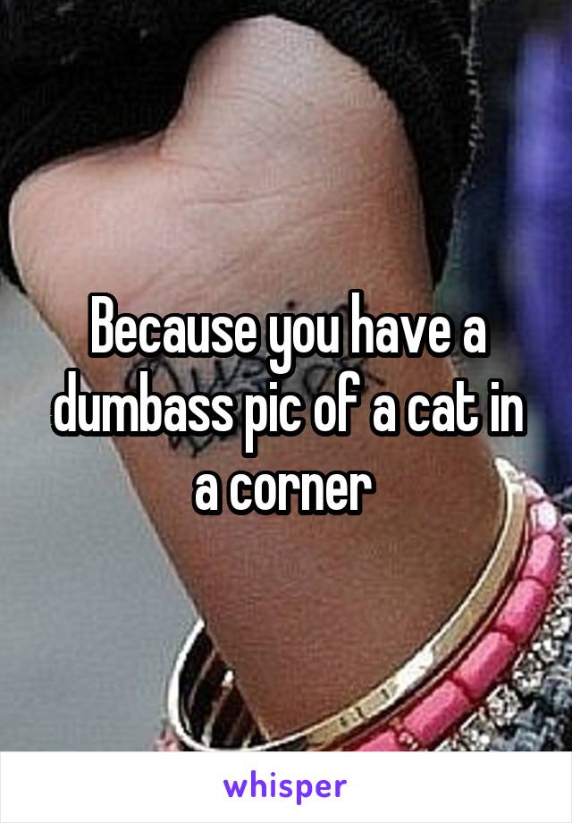 Because you have a dumbass pic of a cat in a corner 