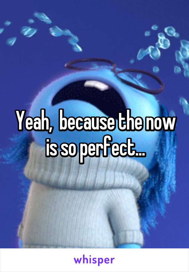 Yeah,  because the now is so perfect...