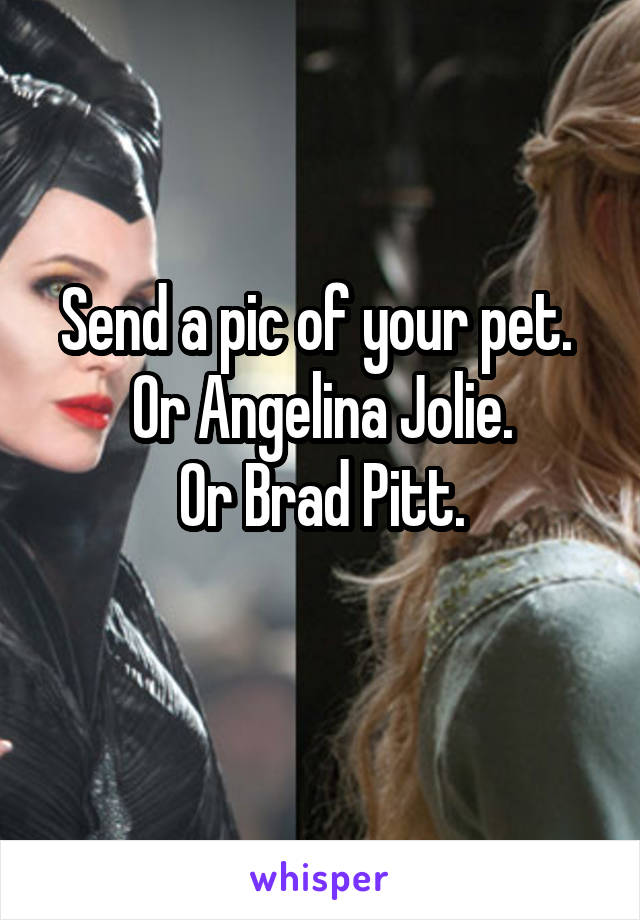 Send a pic of your pet. 
Or Angelina Jolie.
Or Brad Pitt.
