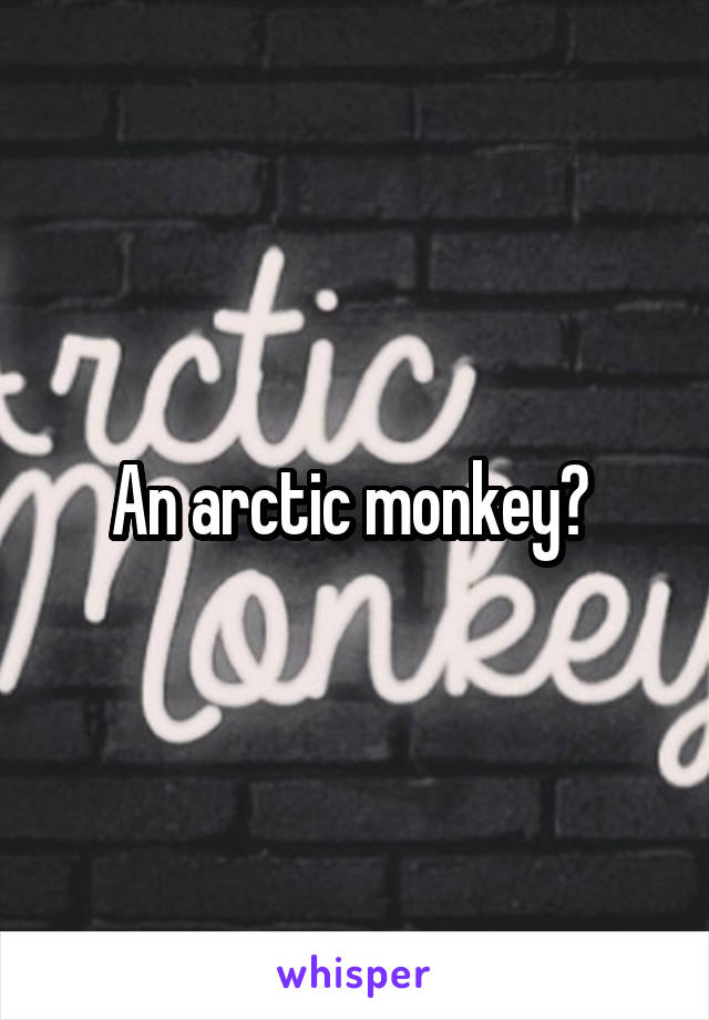 An arctic monkey? 