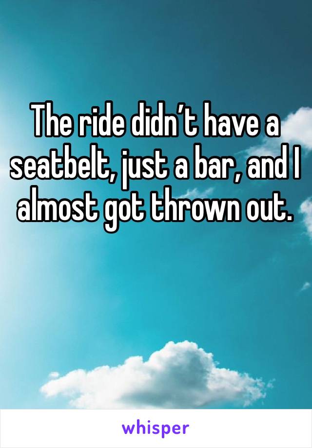 The ride didn’t have a seatbelt, just a bar, and I almost got thrown out. 