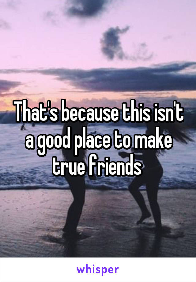 That's because this isn't a good place to make true friends 