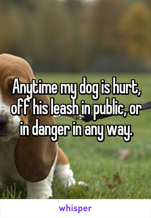 Anytime my dog is hurt, off his leash in public, or in danger in any way.