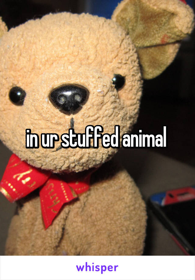 in ur stuffed animal 