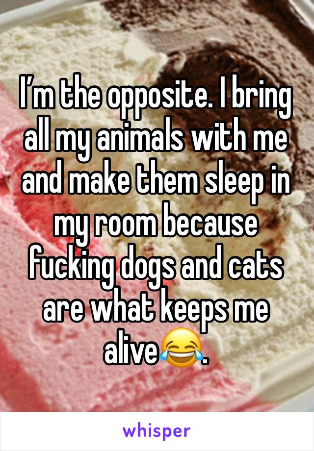 I’m the opposite. I bring all my animals with me and make them sleep in my room because fucking dogs and cats are what keeps me alive😂. 