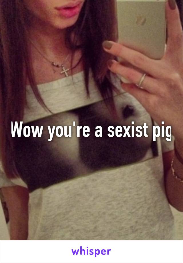 Wow you're a sexist pig