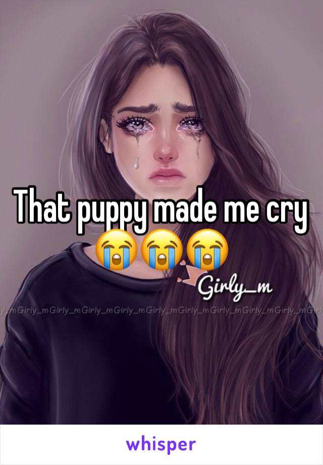 That puppy made me cry 😭😭😭