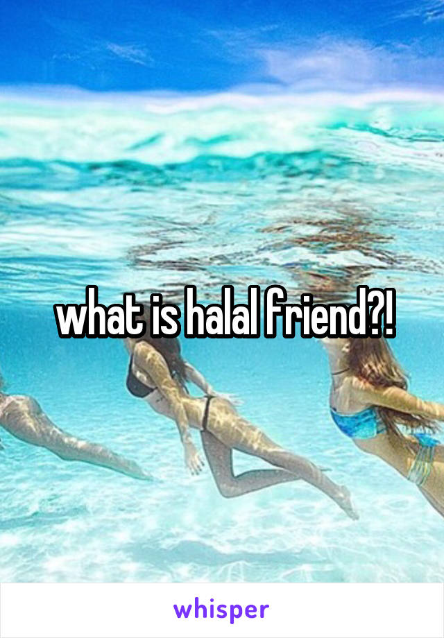 what is halal friend?!