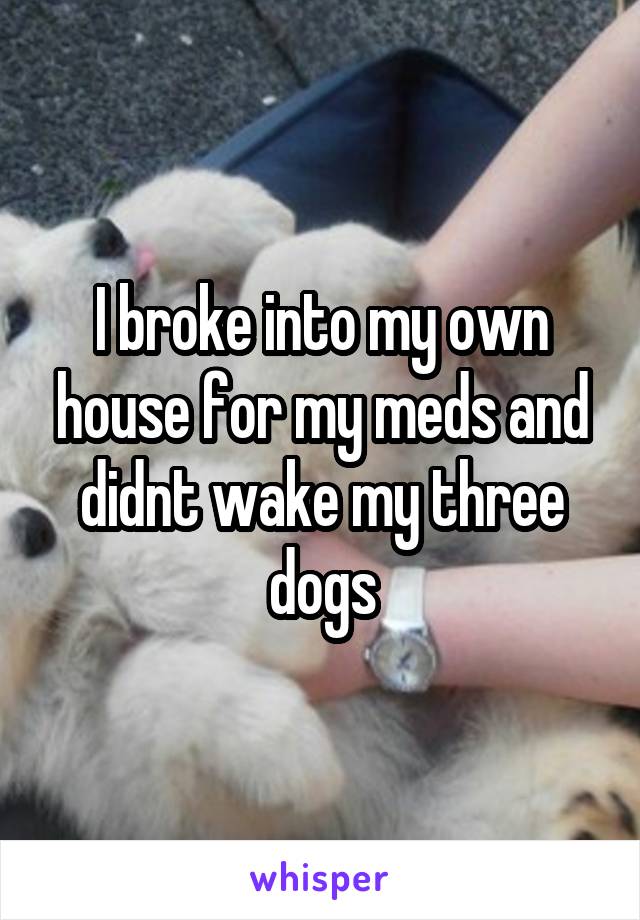 I broke into my own house for my meds and didnt wake my three dogs