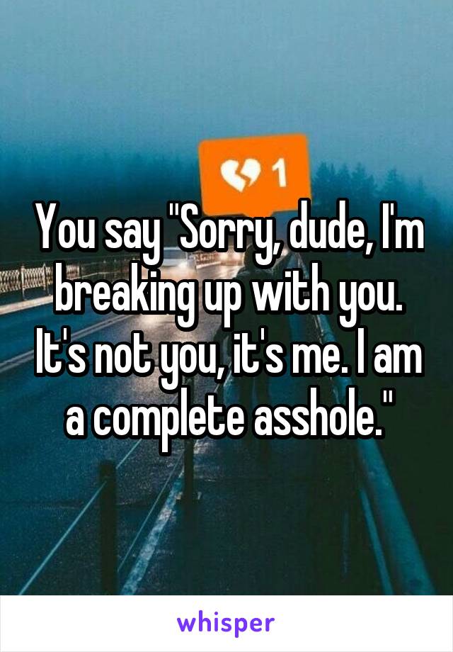You say "Sorry, dude, I'm breaking up with you. It's not you, it's me. I am a complete asshole."