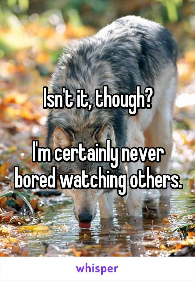 Isn't it, though?

I'm certainly never bored watching others.