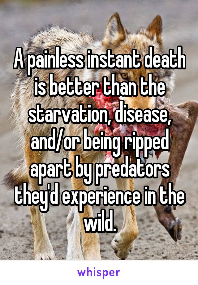 A painless instant death is better than the starvation, disease, and/or being ripped apart by predators they'd experience in the wild.