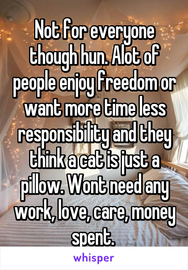 Not for everyone though hun. Alot of people enjoy freedom or want more time less responsibility and they think a cat is just a pillow. Wont need any work, love, care, money spent. 
