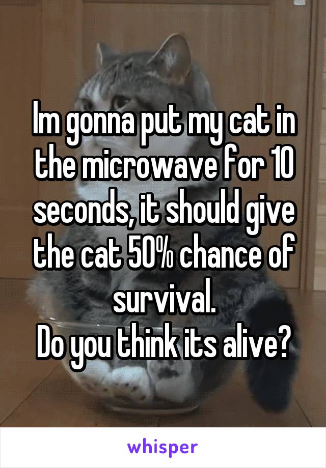 Im gonna put my cat in the microwave for 10 seconds, it should give the cat 50% chance of survival.
Do you think its alive?