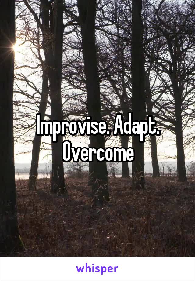 Improvise. Adapt. Overcome