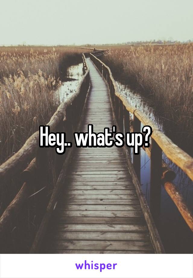 Hey.. what's up? 