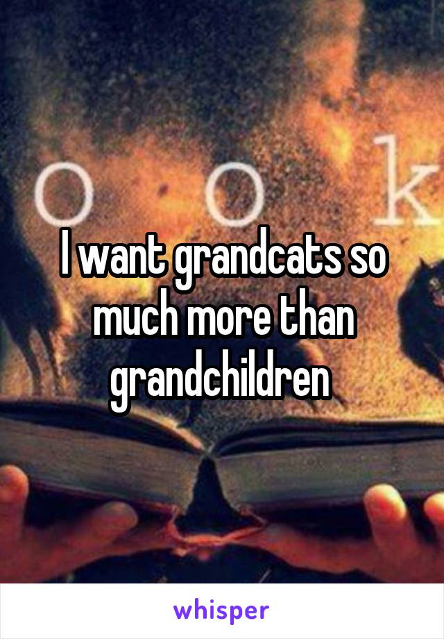 I want grandcats so much more than grandchildren 