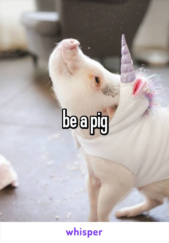 be a pig
