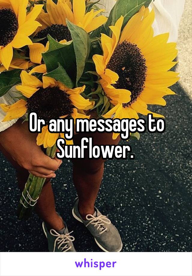 Or any messages to Sunflower. 
