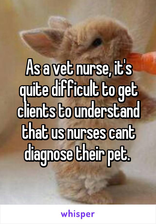 As a vet nurse, it's quite difficult to get clients to understand that us nurses cant diagnose their pet. 