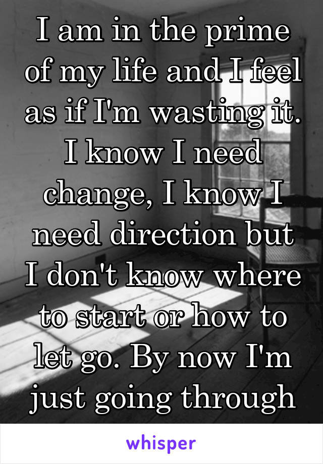 I am in the prime of my life and I feel as if I'm wasting it. I know I need change, I know I need direction but I don't know where to start or how to let go. By now I'm just going through the motions