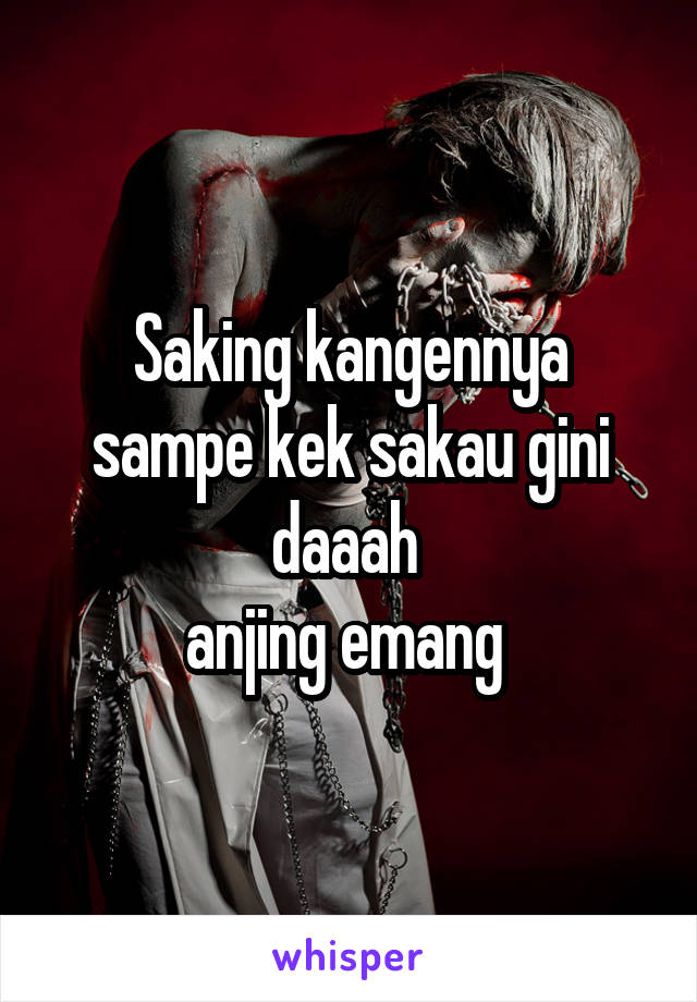 Saking kangennya sampe kek sakau gini daaah 
anjing emang 