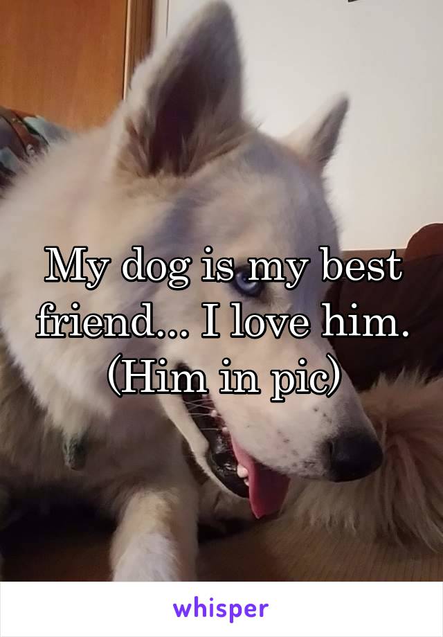 My dog is my best friend... I love him.
(Him in pic)