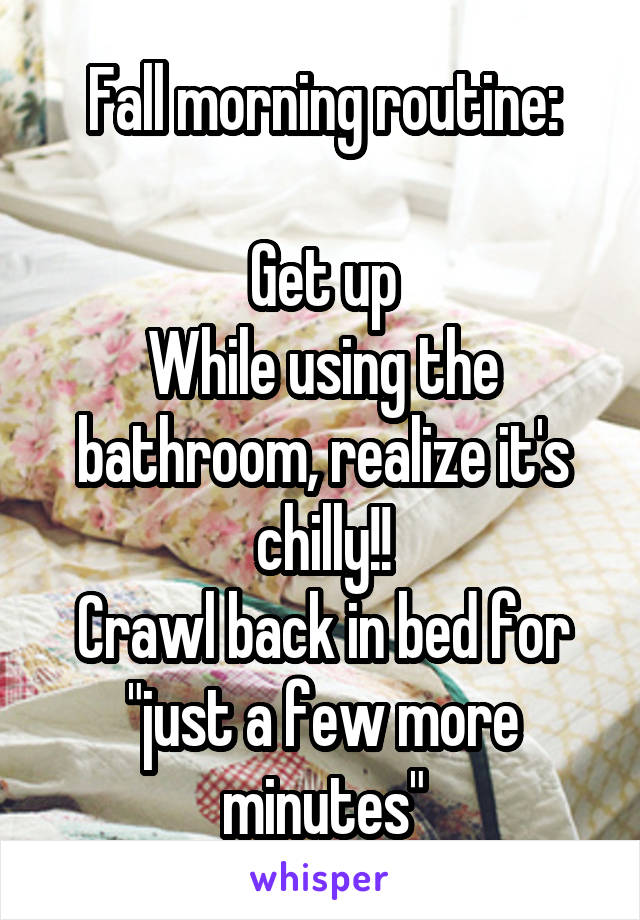 Fall morning routine:

Get up
While using the bathroom, realize it's chilly!!
Crawl back in bed for "just a few more minutes"