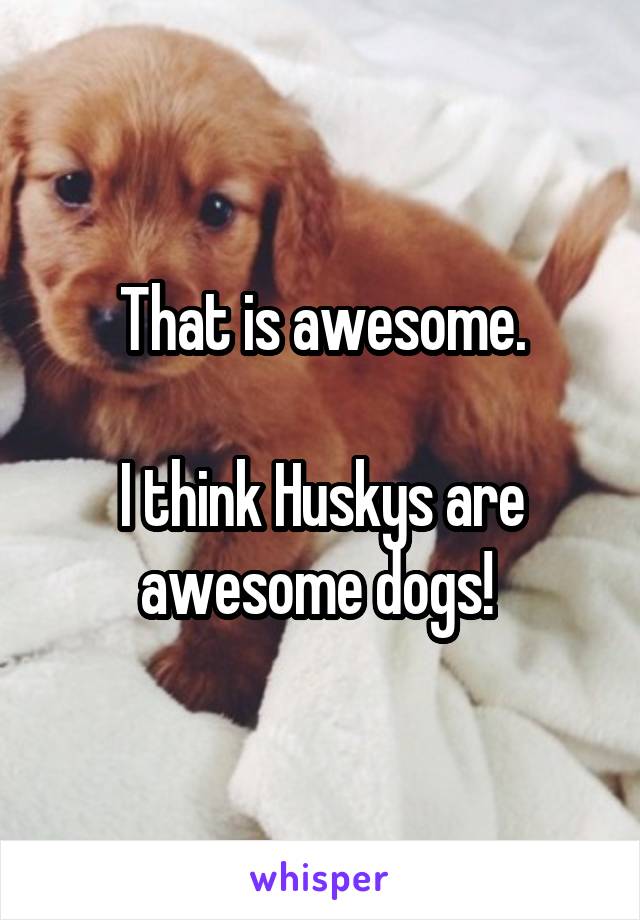 That is awesome.

I think Huskys are awesome dogs! 