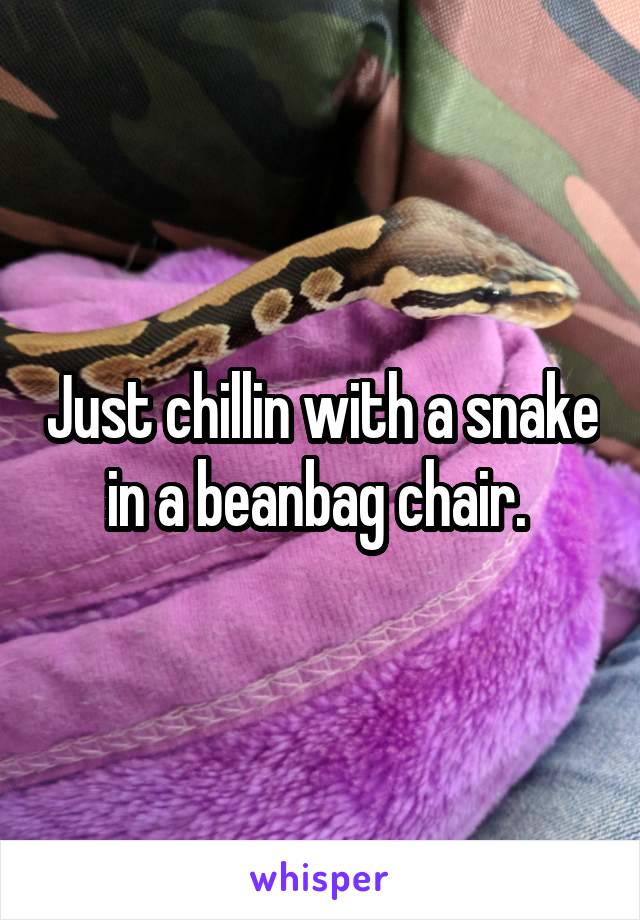 Just chillin with a snake in a beanbag chair. 