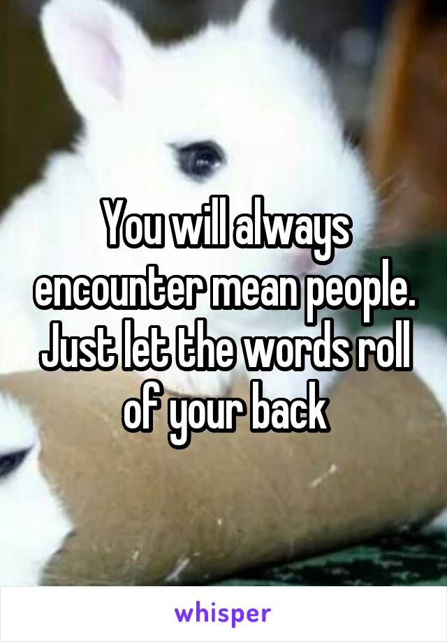 You will always encounter mean people. Just let the words roll of your back