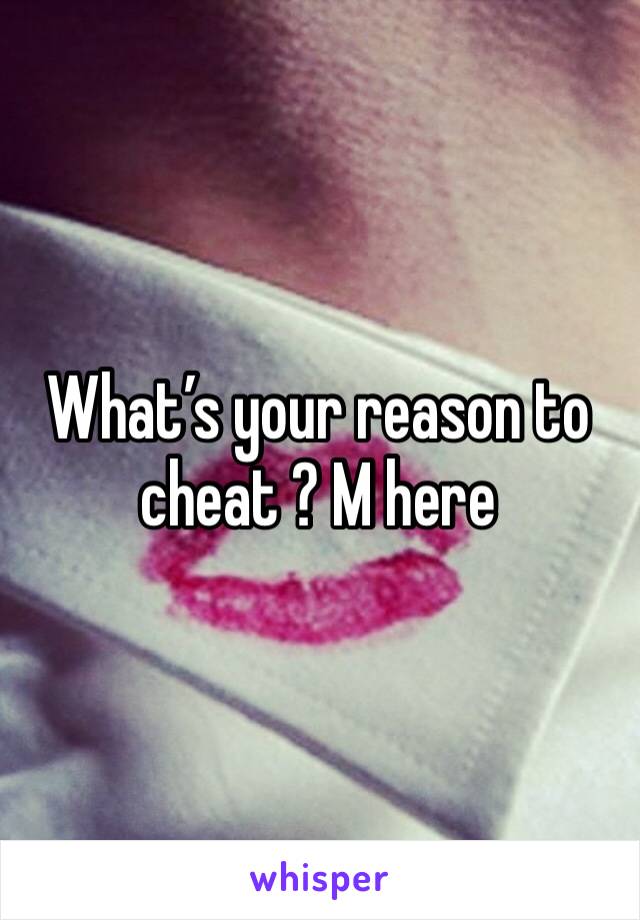 What’s your reason to cheat ? M here