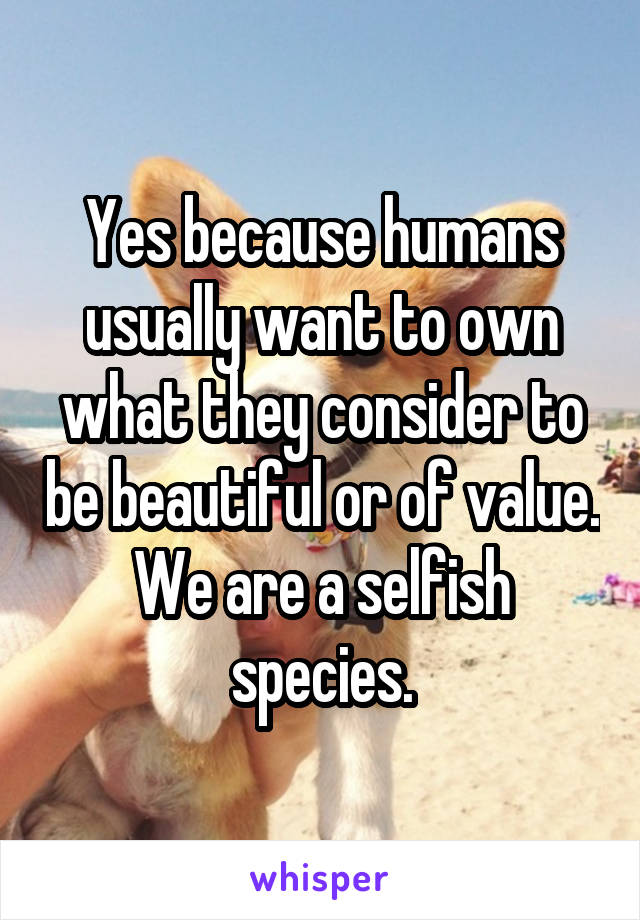 Yes because humans usually want to own what they consider to be beautiful or of value. We are a selfish species.
