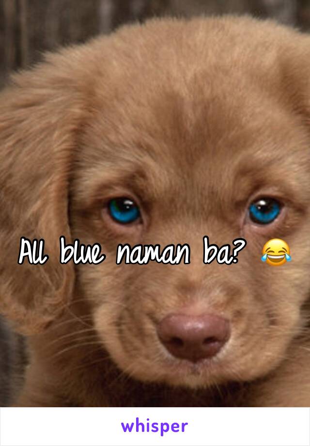All blue naman ba? 😂